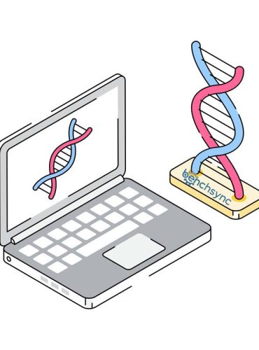 p-dns-lap-ben